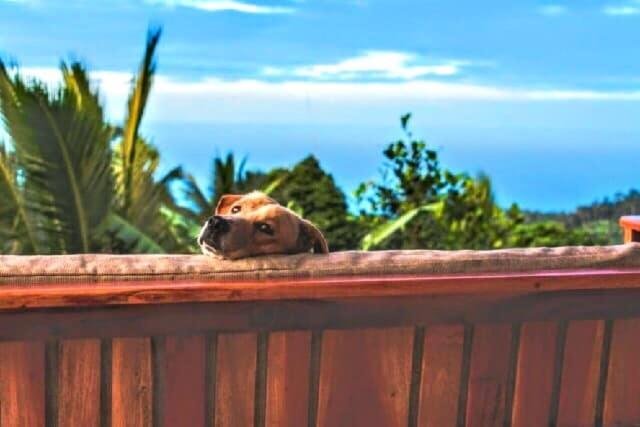 Camiguin Volcano Houses-Panoramic House Mambajao Esterno foto